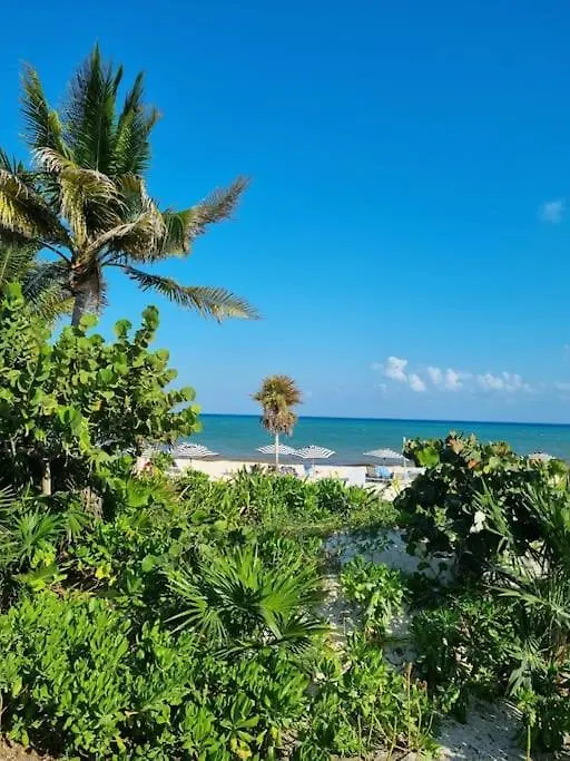 Beach Dream location